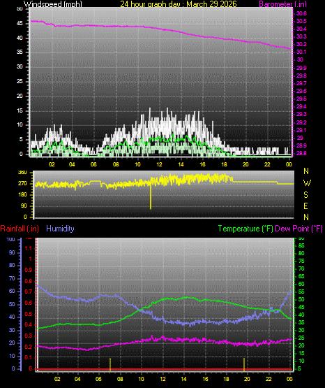 24 Hour Graph for Day 29